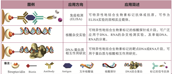 <a href='http://www.tools.7z1ocr.cn/html/3206594356.html' target='_blank'>鏈霉親和素</a>磁珠用途