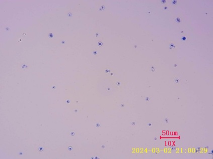 高結(jié)合特性蛋白組學(xué)前處理磁珠